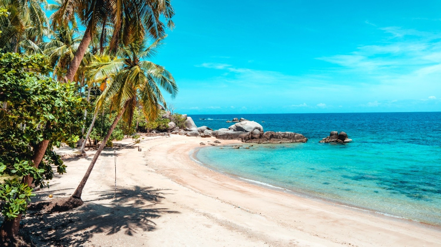 هايتي - 7 أيام - غير محدود